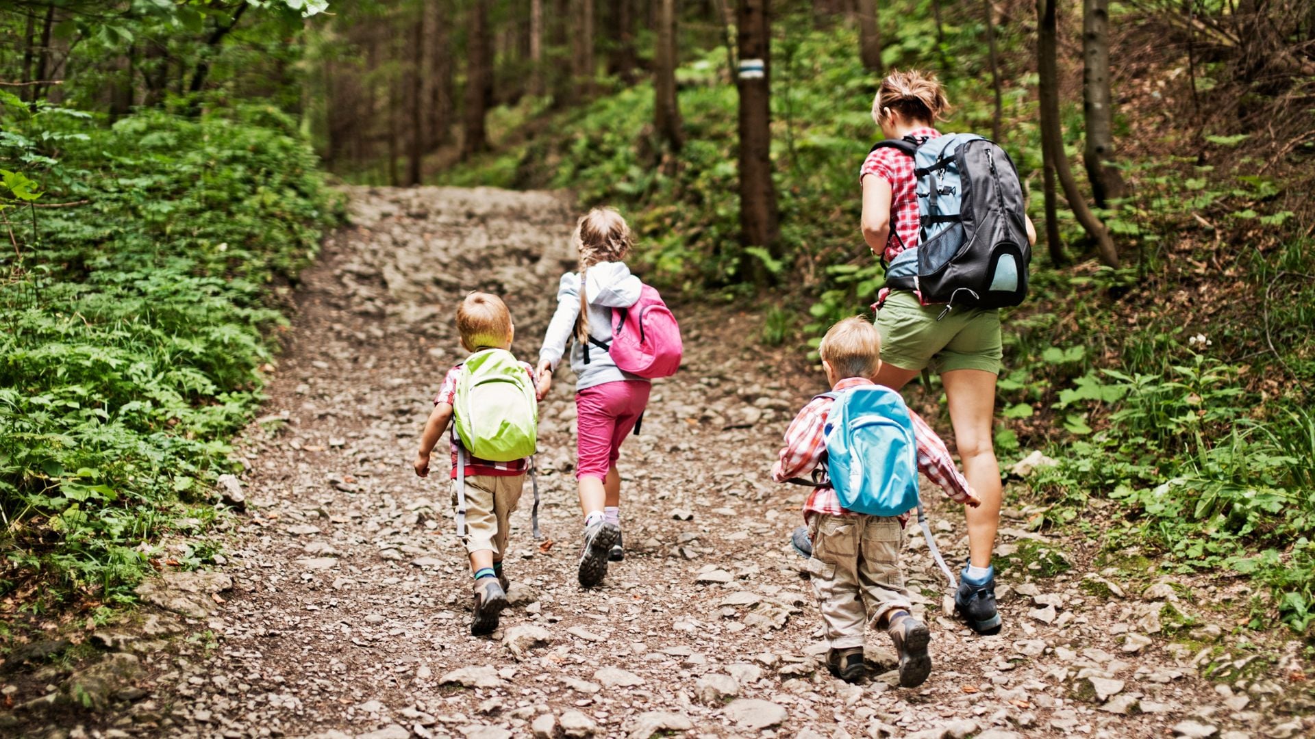 Minnesota Weekend Hikes near and far