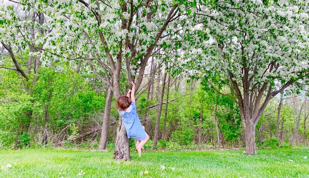 child swinging from tree