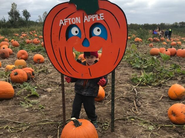 Your Family’s Guide to Fall Festivals around the Twin Cities!