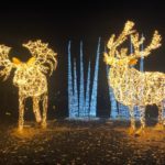 two holiday deer lights lit up in our holiday lights minnesota guide
