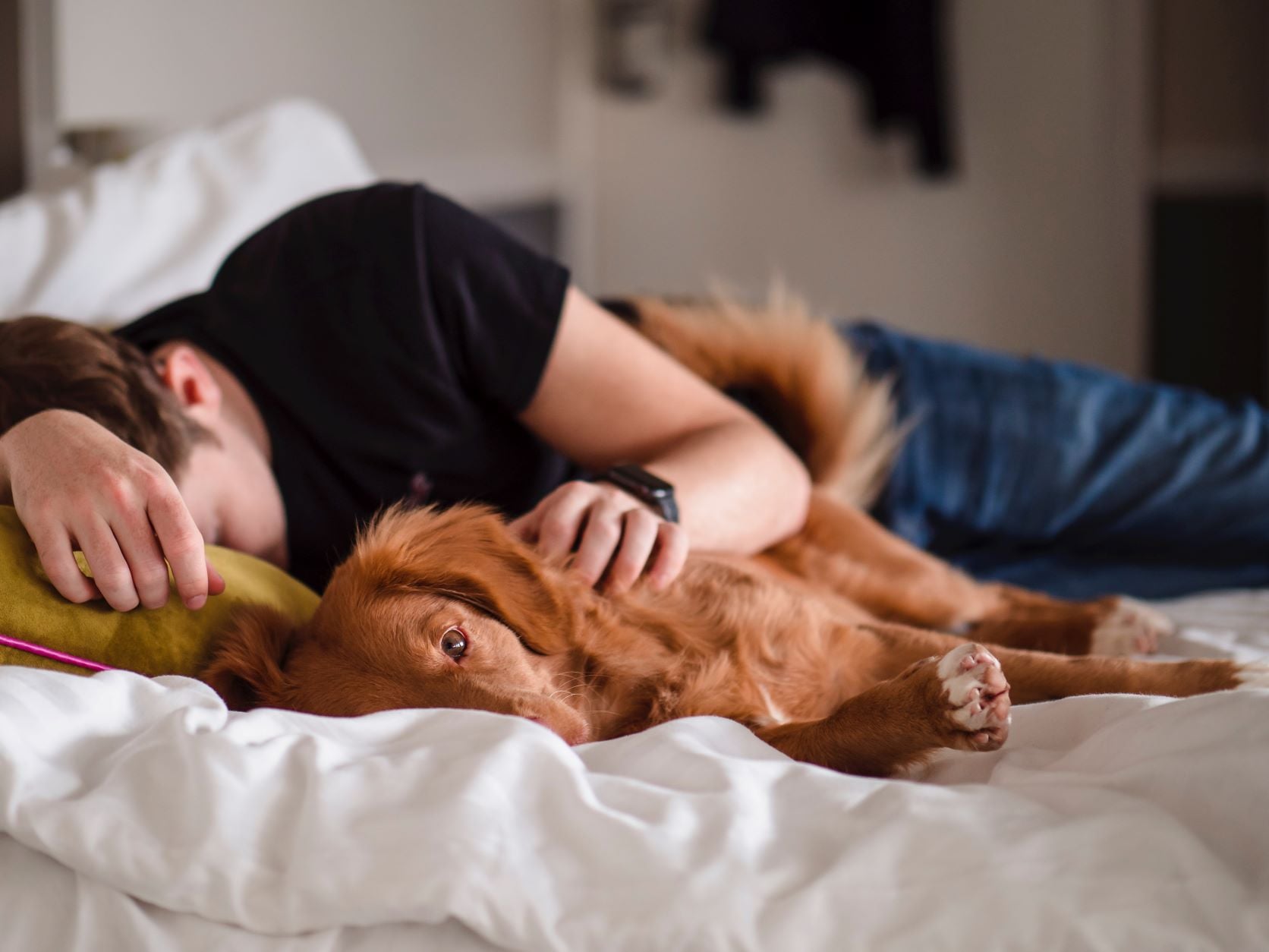healthy sleep article