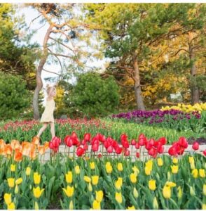 girl playing at landscape arboretum with tulips blooming