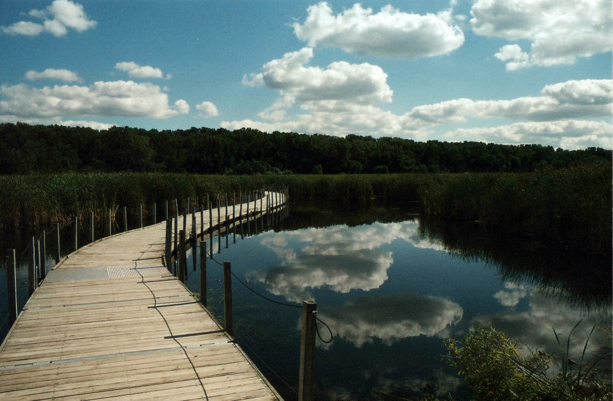 30 ways to seize Minnesota summers