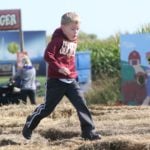 boy on the haybale maze at twin cities harvest festival