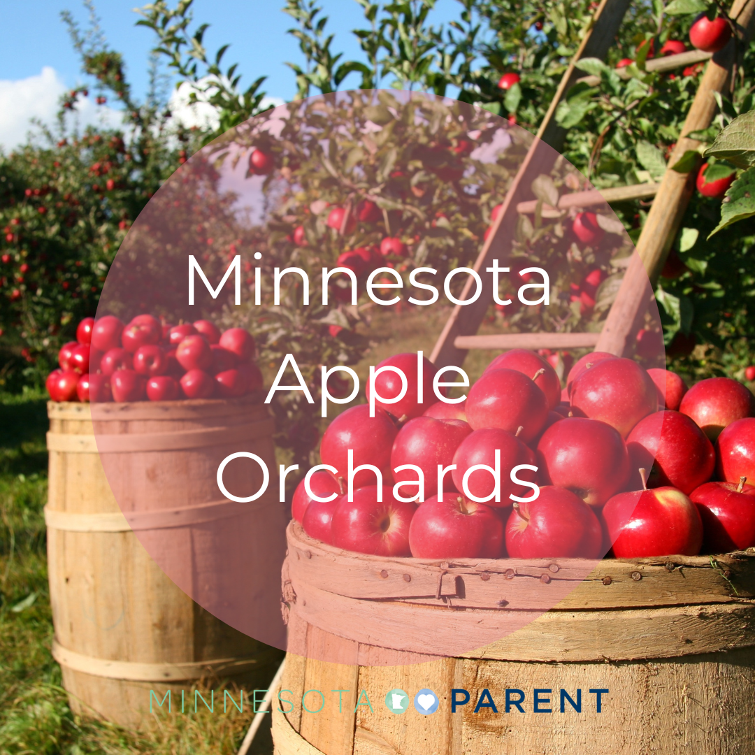 Find your local apple orchard in our family directory here. 