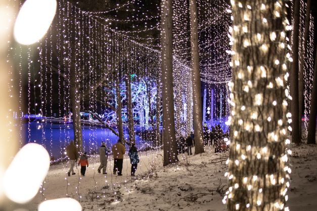 winter wonderland of lights at Miracle at Big Rock in Wosconsin
