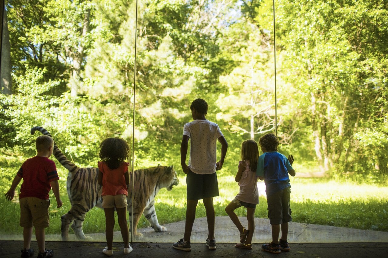 Clutter-Free Gifts for Kids