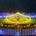 lights displays at winter at the arboretum
