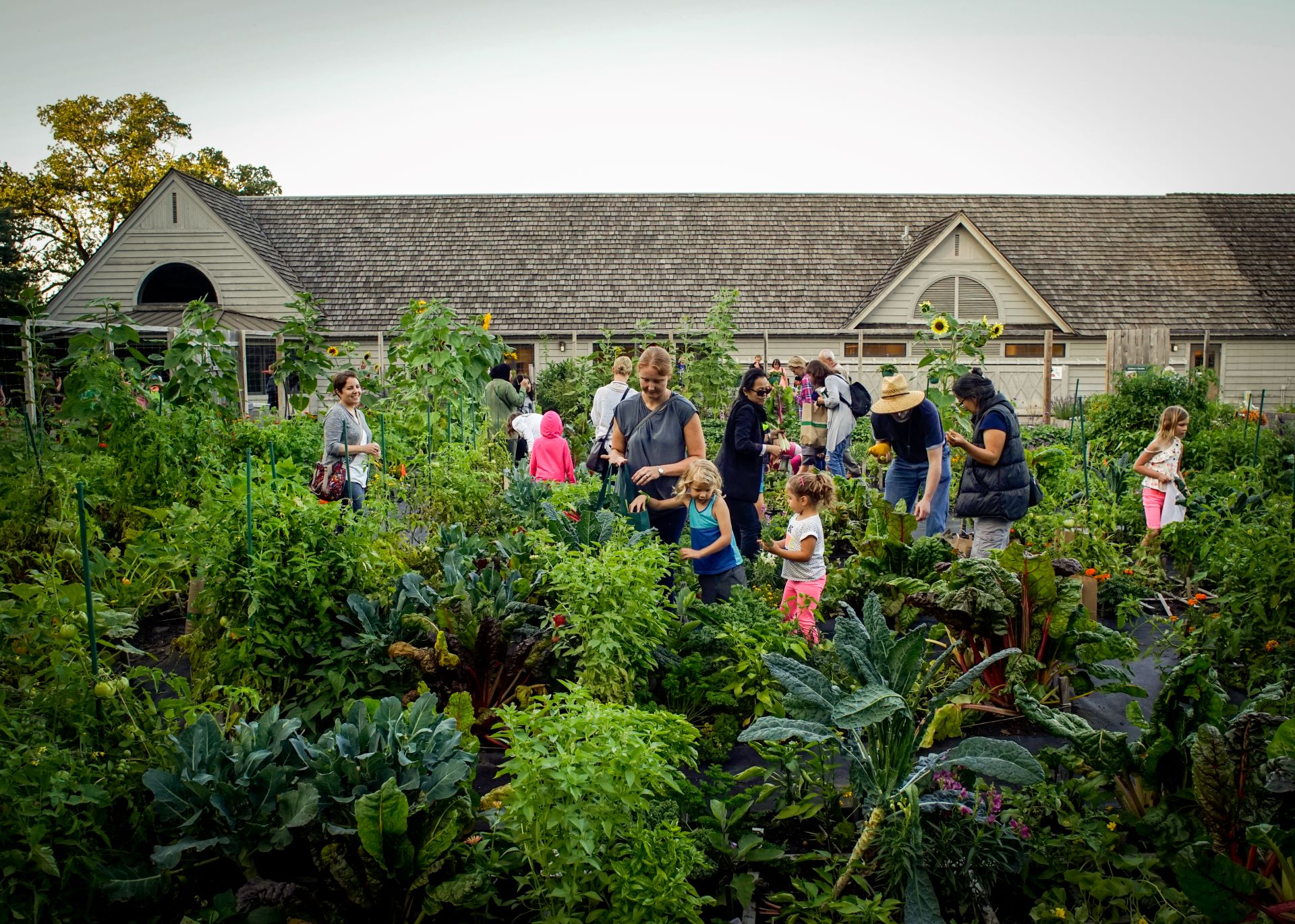 Children’s Garden at the Minnesota Landscape Arboretum