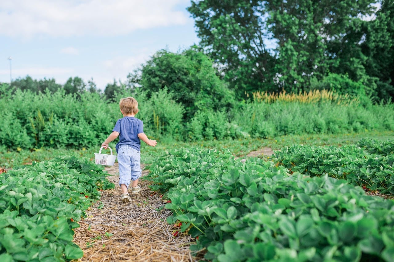 Unpretentious summer fun