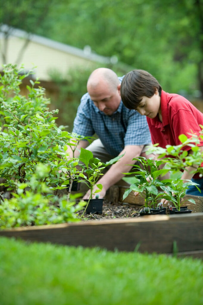 man and boy gardening together during the summer months