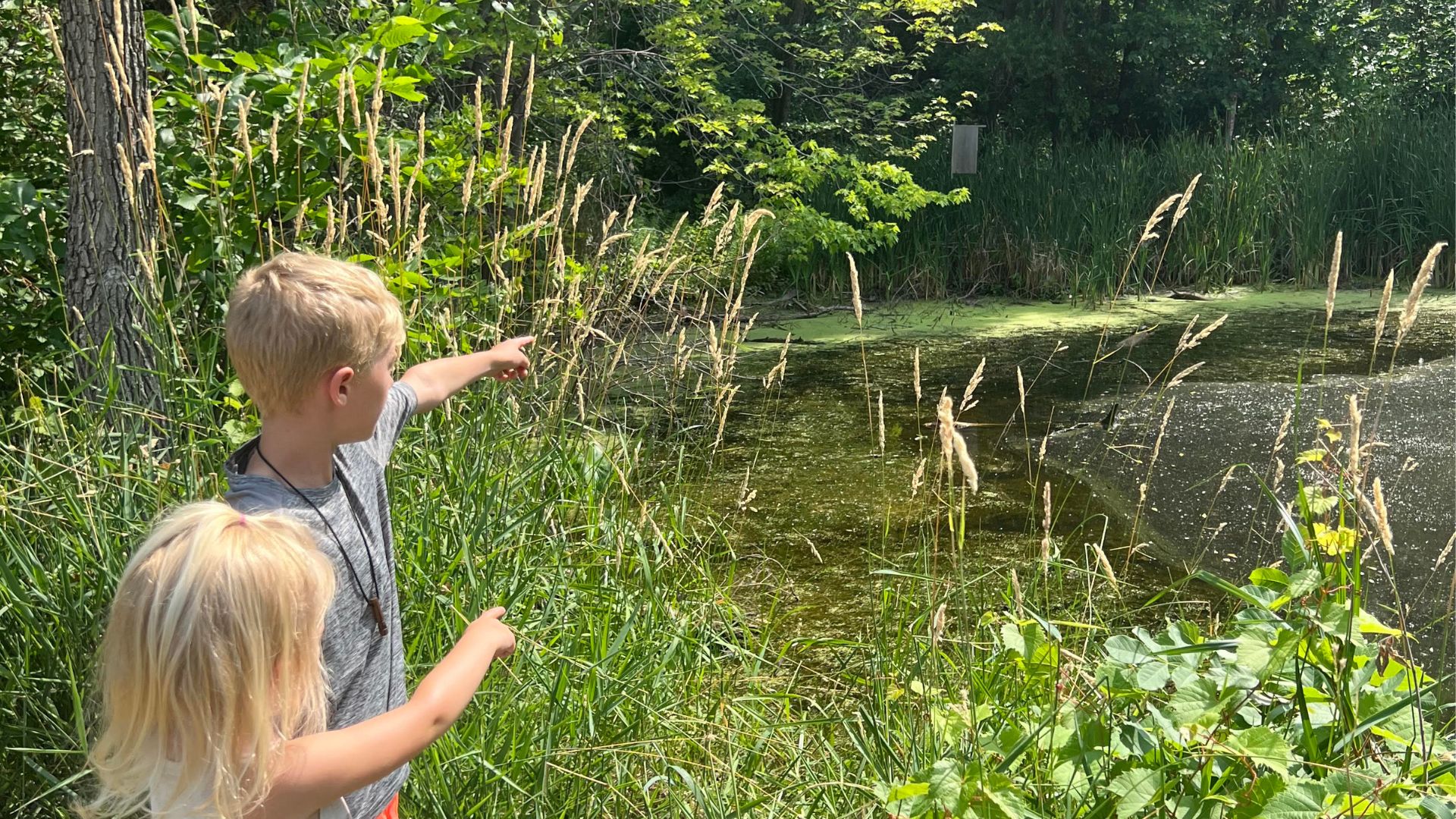 Explore Trails and Nature Areas at Woodlake Nature Center