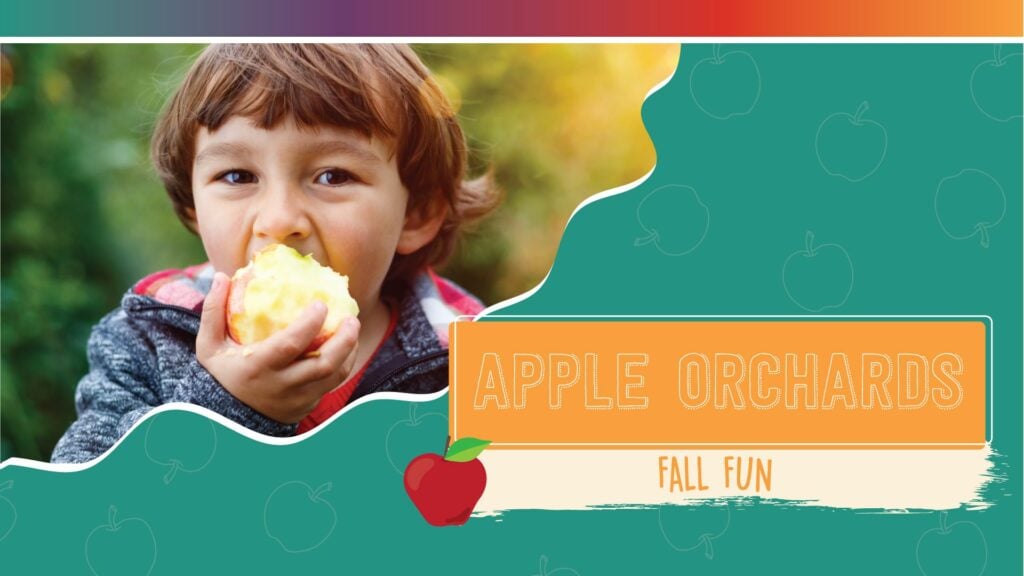 Apple Orchard Directory in Minnesota and Fall Events Minnesota
