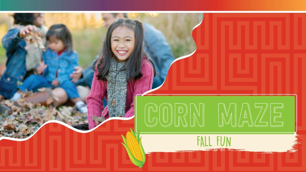 Corn Maze Directory in Minnesota and Fall Events Minnesota
