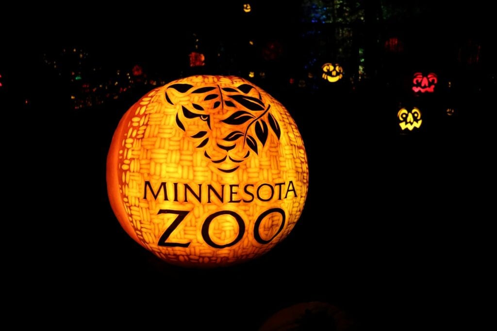 Pumpkins displayed at Minnesota zoo pumpkins events