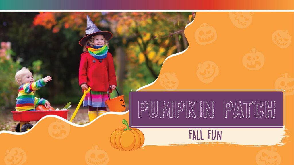 Pumpkin Patch Directory in Minnesota and Fall Events Minnesota