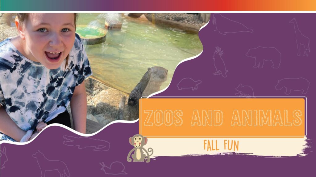 Zoos and Animals in Minnesota and Fall Events Minnesota
