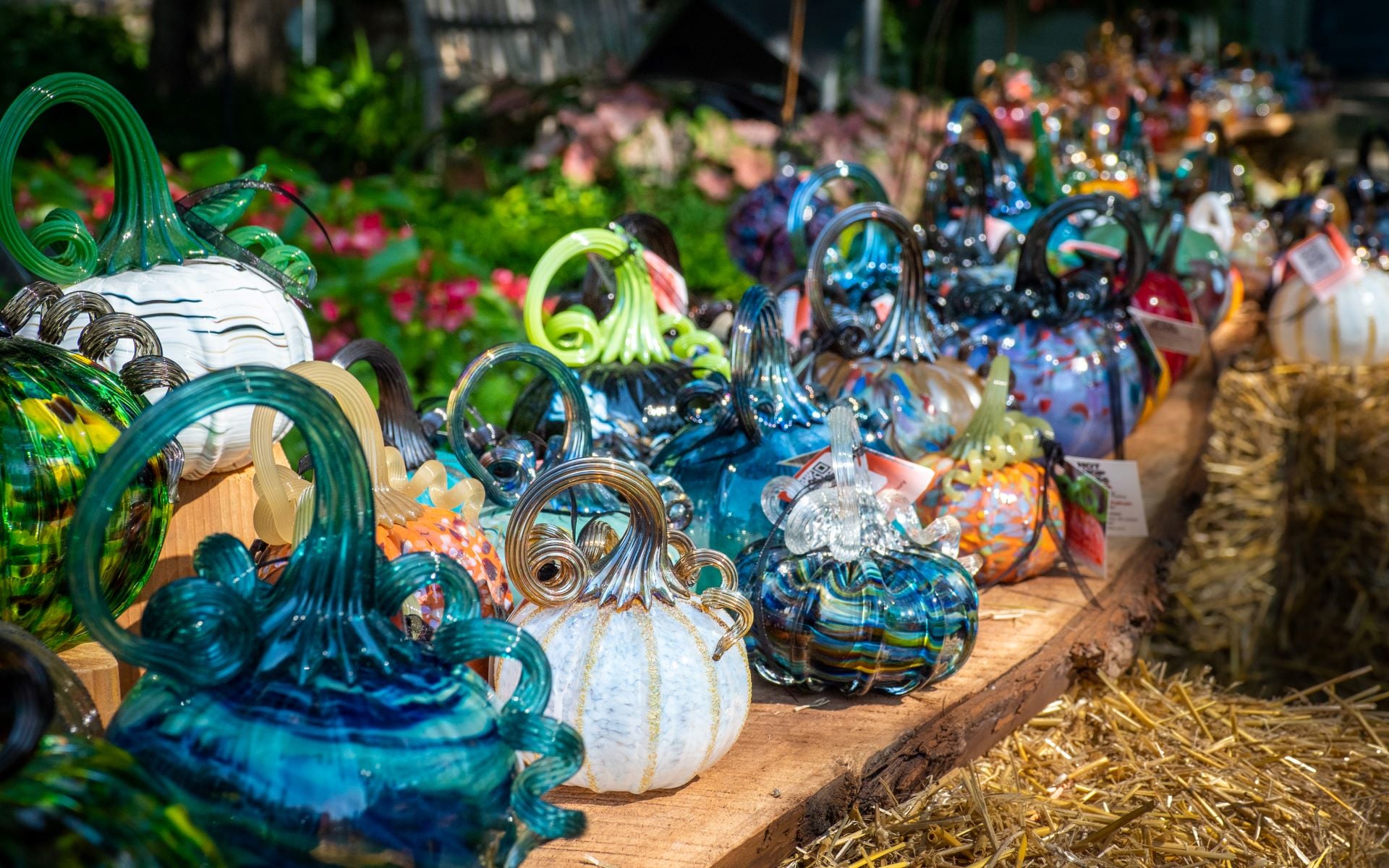 Fall Events at Minnesota Landscape Arboretum