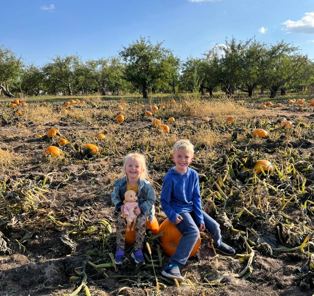girl and boy sitting on pumpkins in minnesota