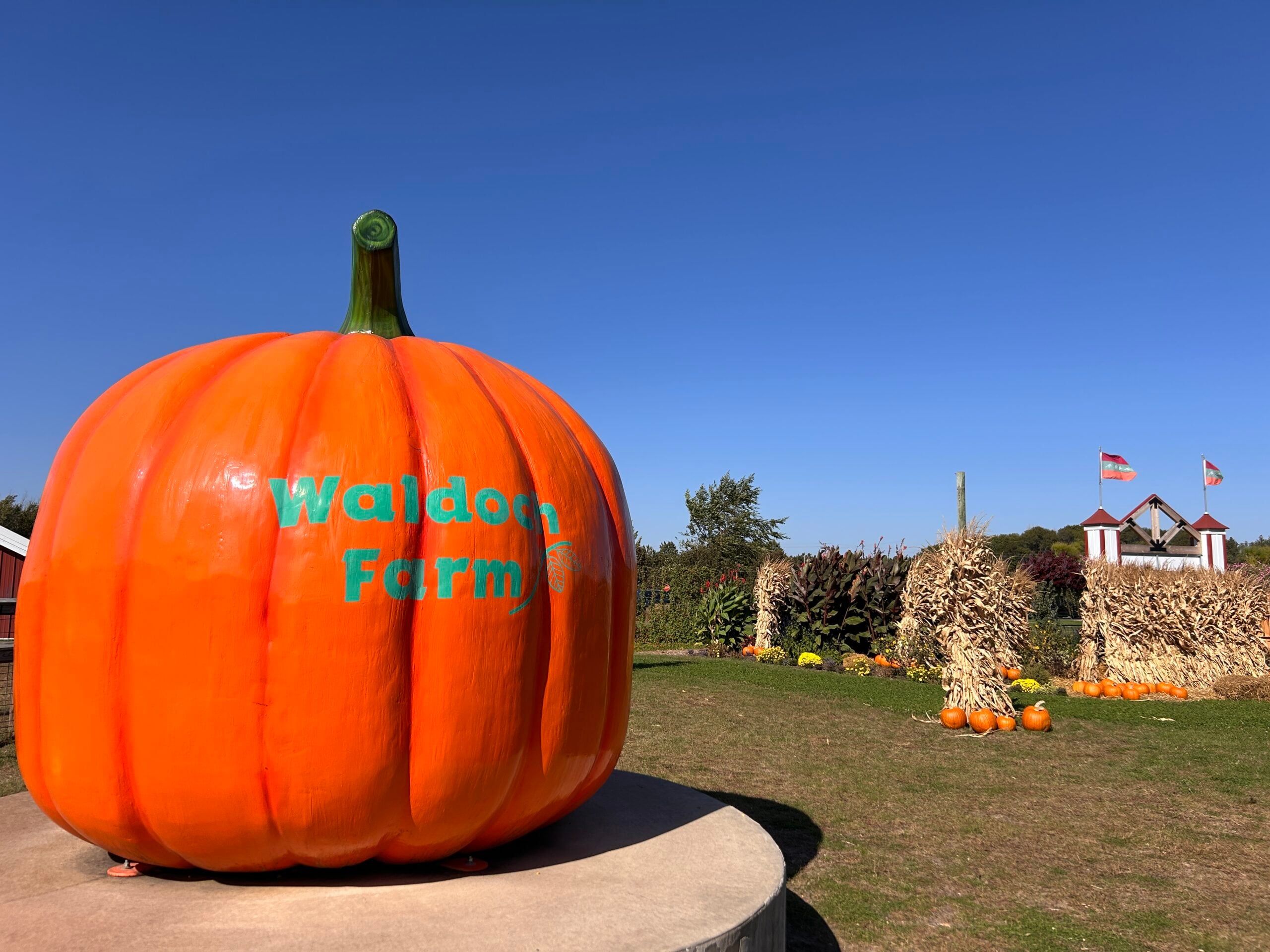 Fall Fun at Waldoch Farm and Corn Maze