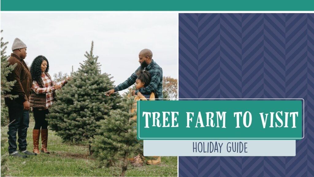 Your Family’s Guide to the Holidays in Minnesota Minnesota Parent