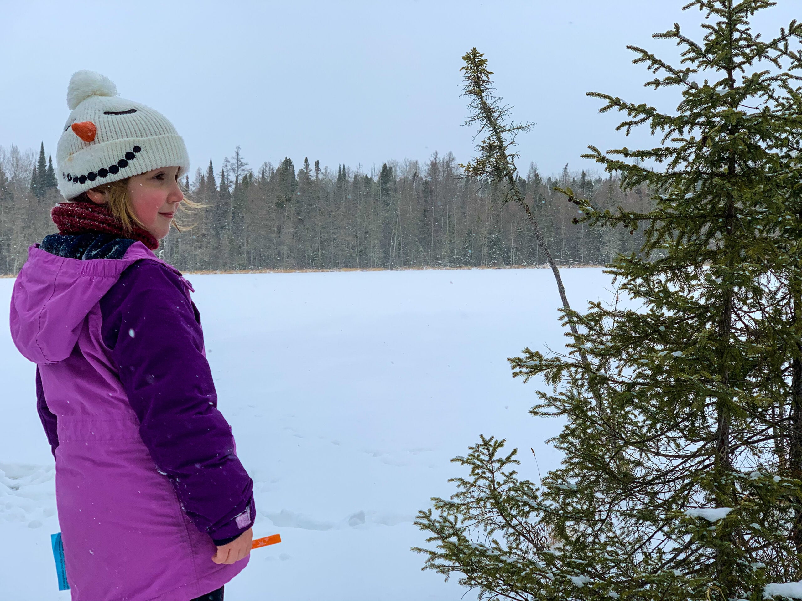 7 Best Minnesota State Parks for Families this Winter