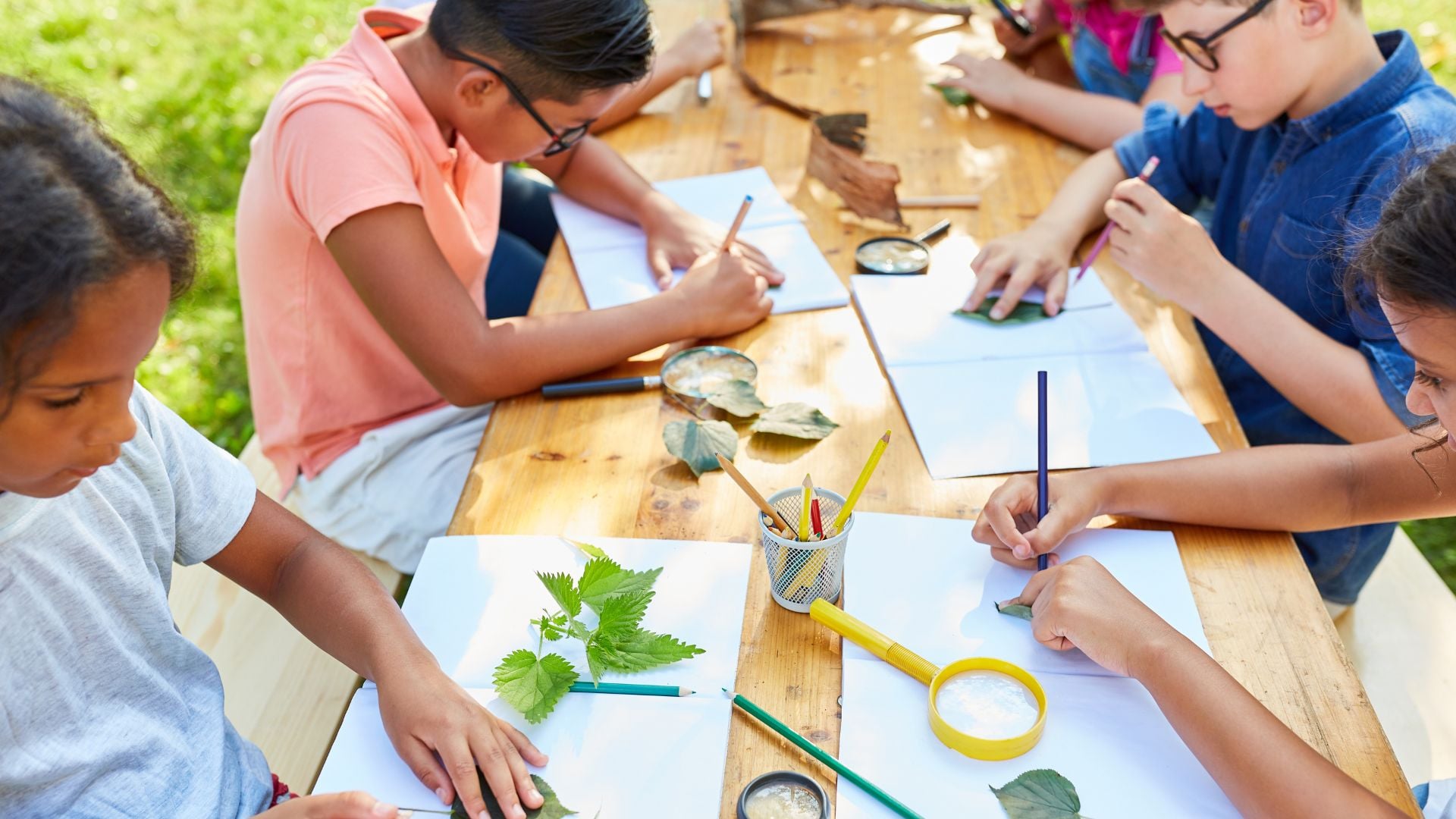 Summer Camp Planning goes from Job to Joy with myHappyCamper