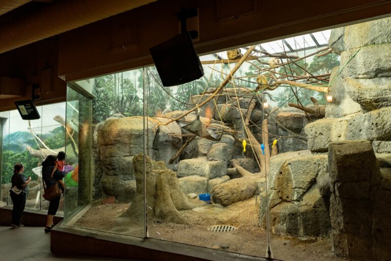 Your Ultimate St. Paul Como Zoo Family Guide Minnesota Parent