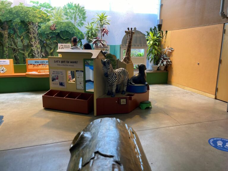 Your Ultimate St. Paul Como Zoo Family Guide Minnesota Parent