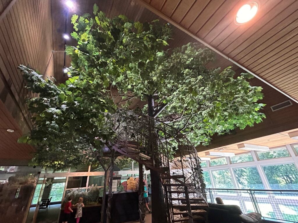tree on display at wargo nature center