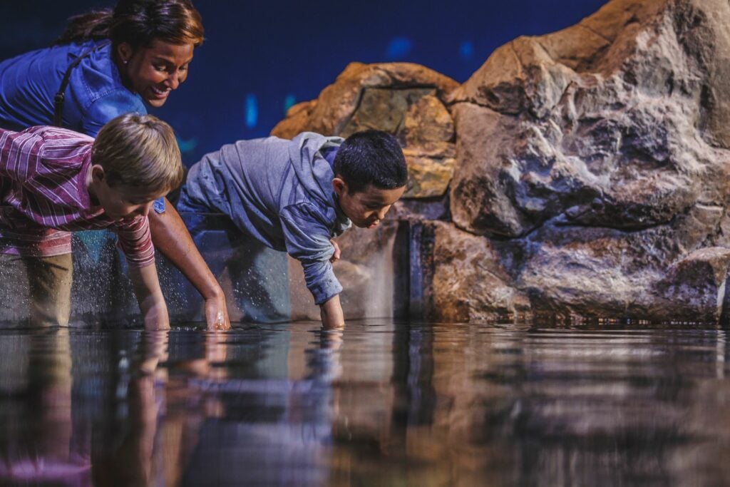 kids touching water at zoo