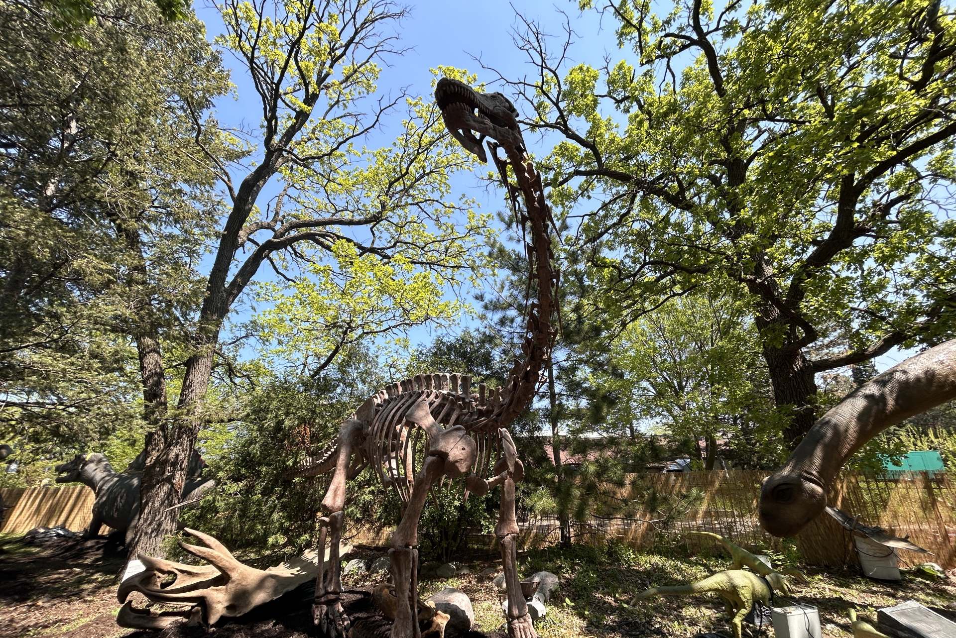 Dinosaur Expedition at Como Town