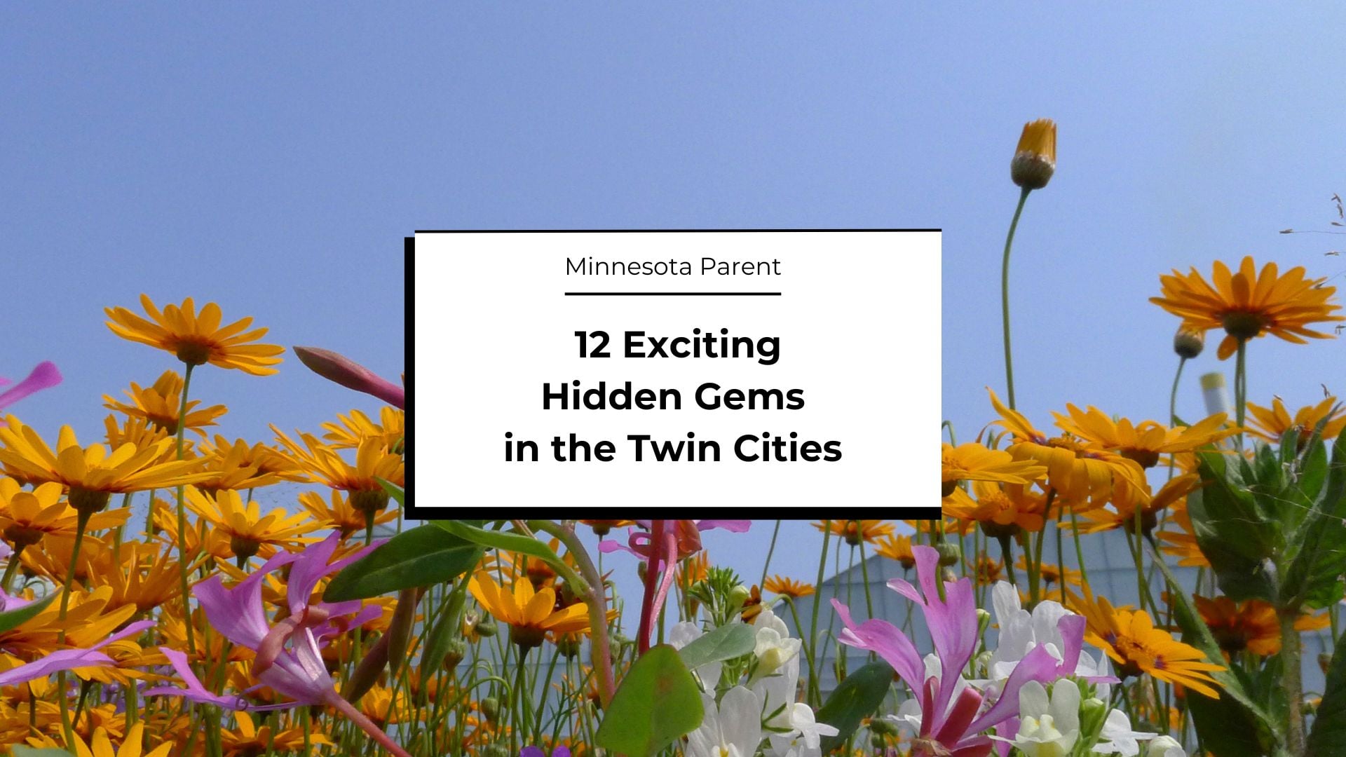 Hidden Gems in the Twin Cities
