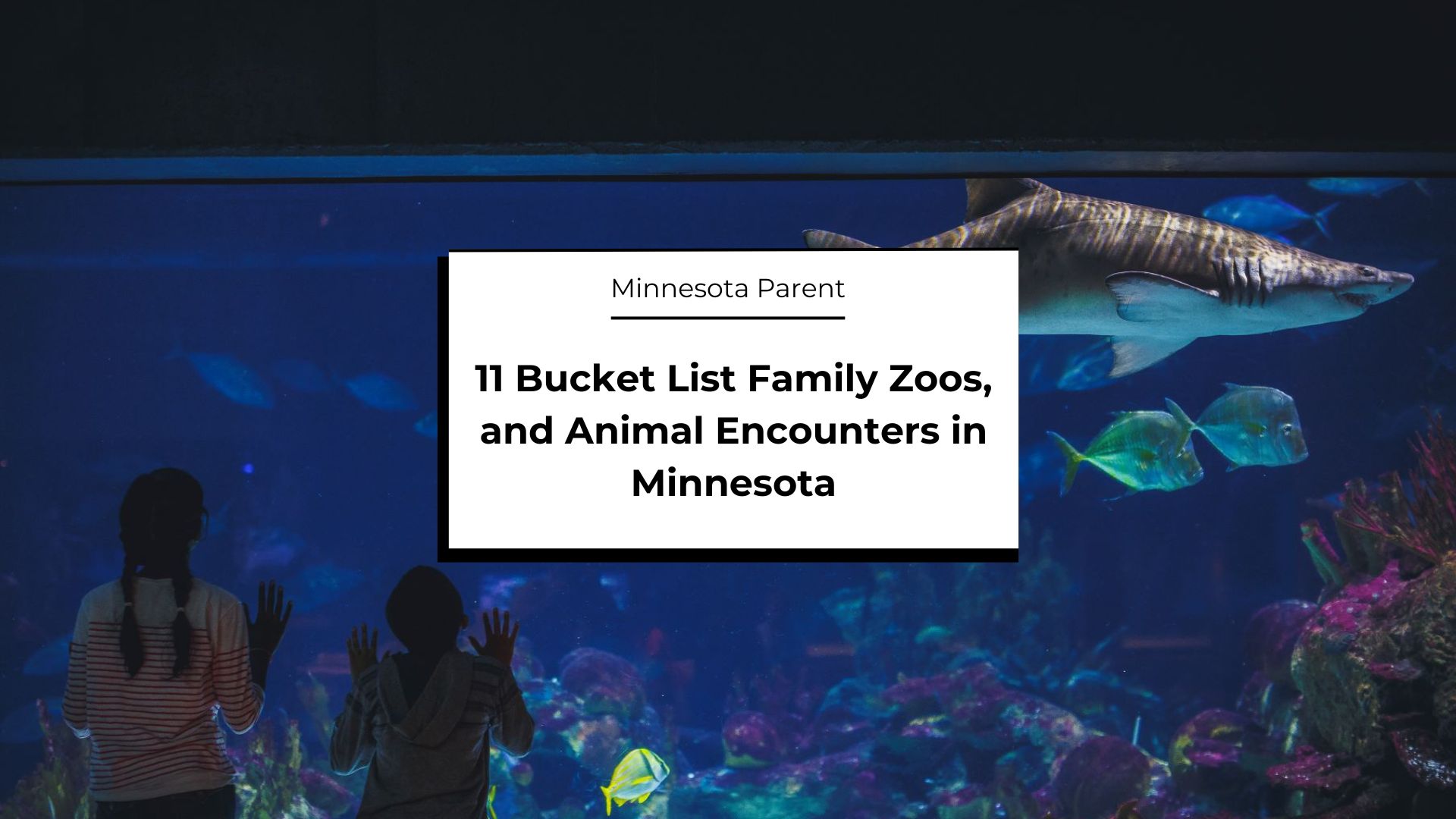 The Best Zoos and Animal Encounters around Minnesota