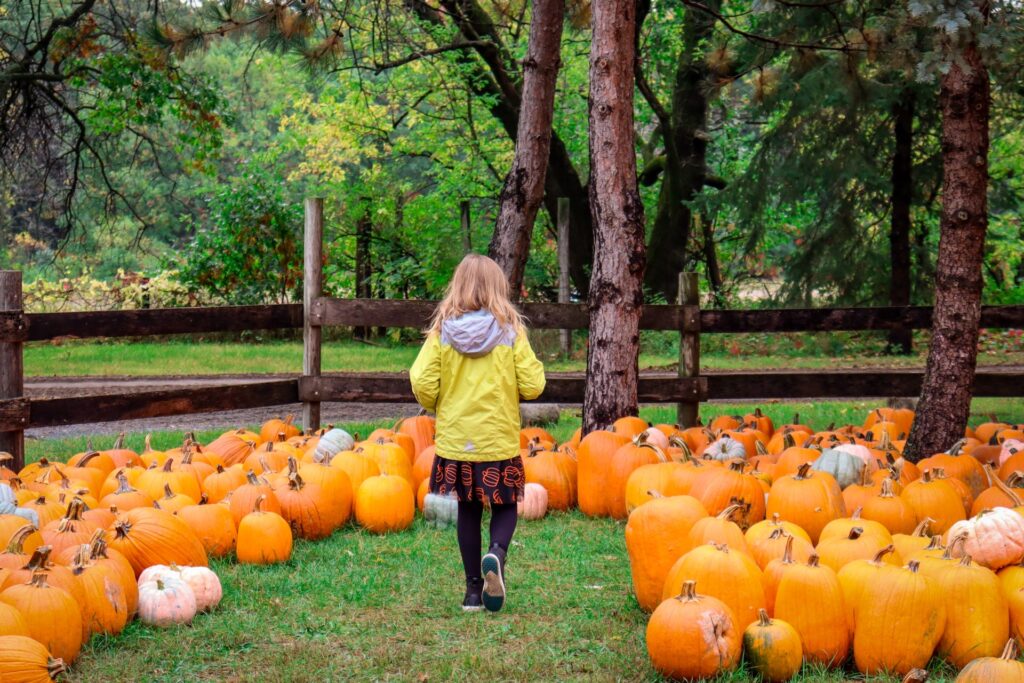 girl in Pumpkin Patches Twin Cities