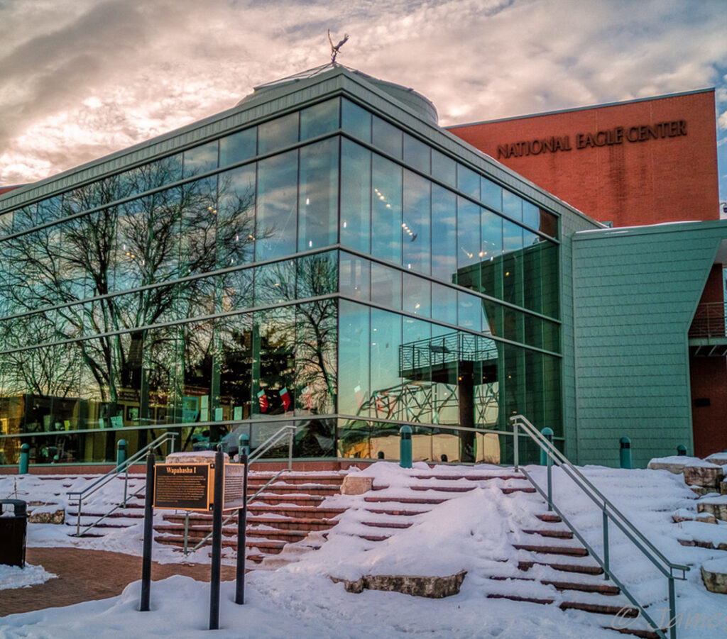 Soar into Family Fun at the National Eagle Center - Minnesota Parent