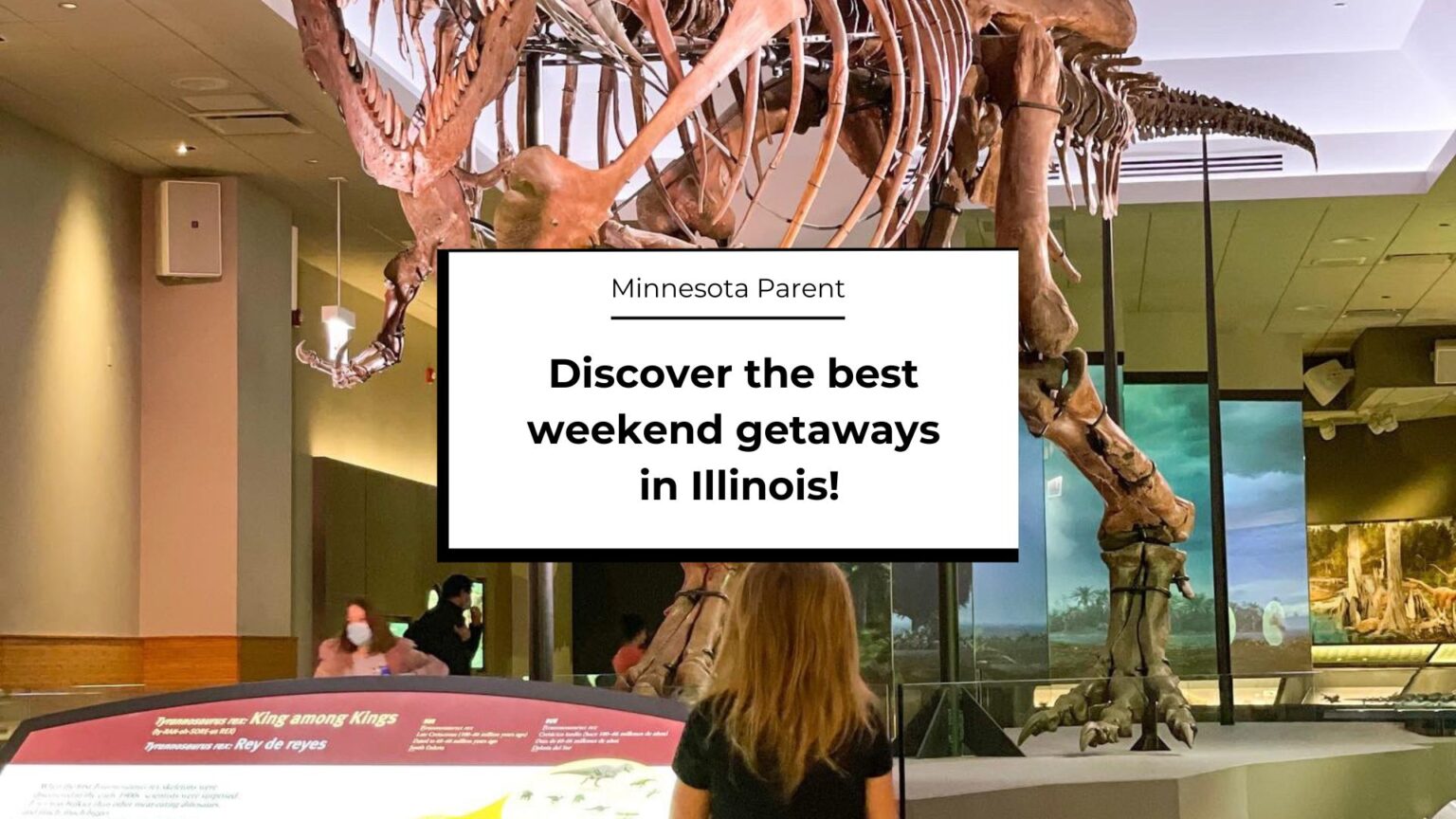 7 BEST Weekend Getaways in Illinois