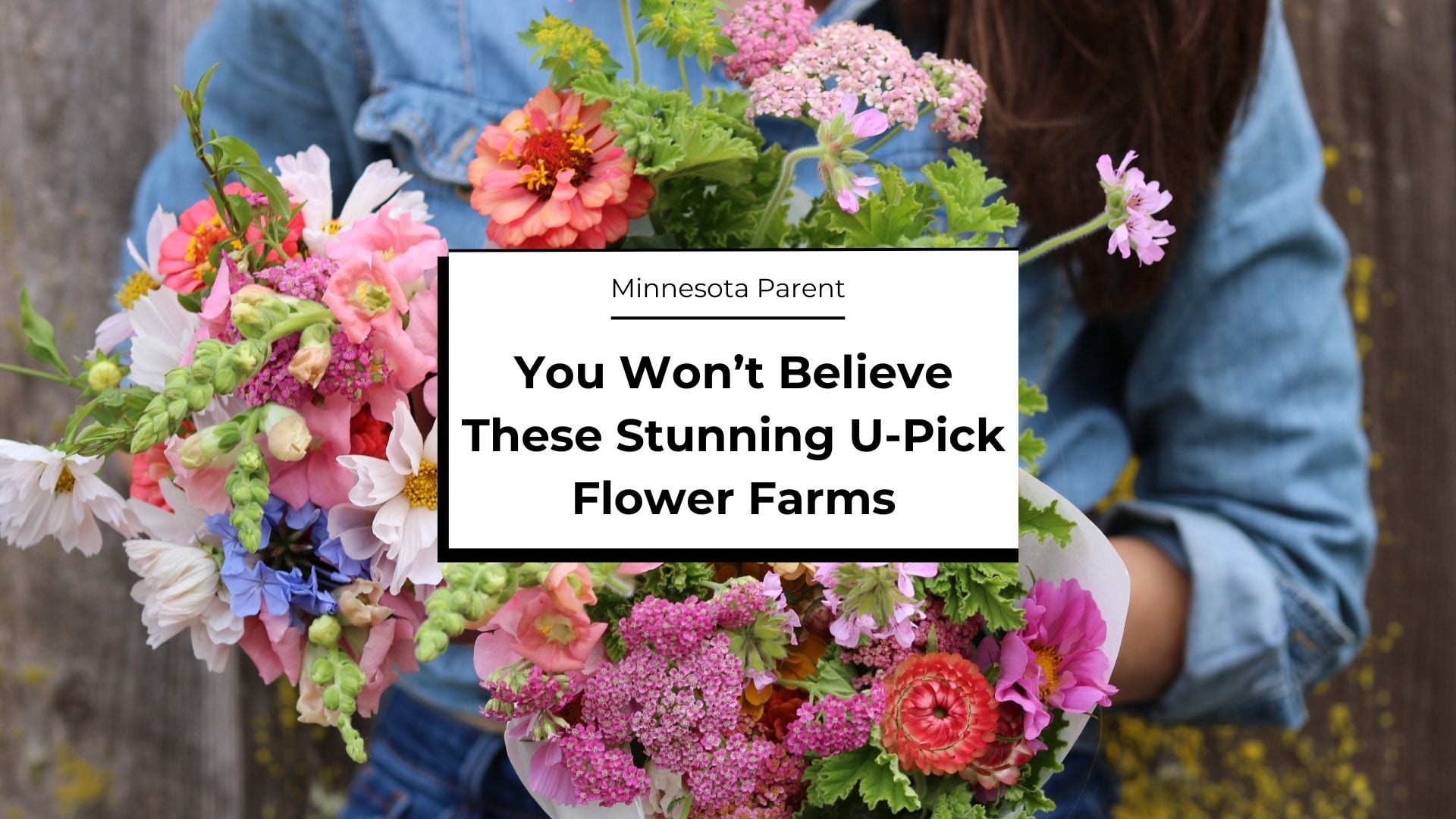 Magical U-Pick Flower Farms Near the Twin Cities