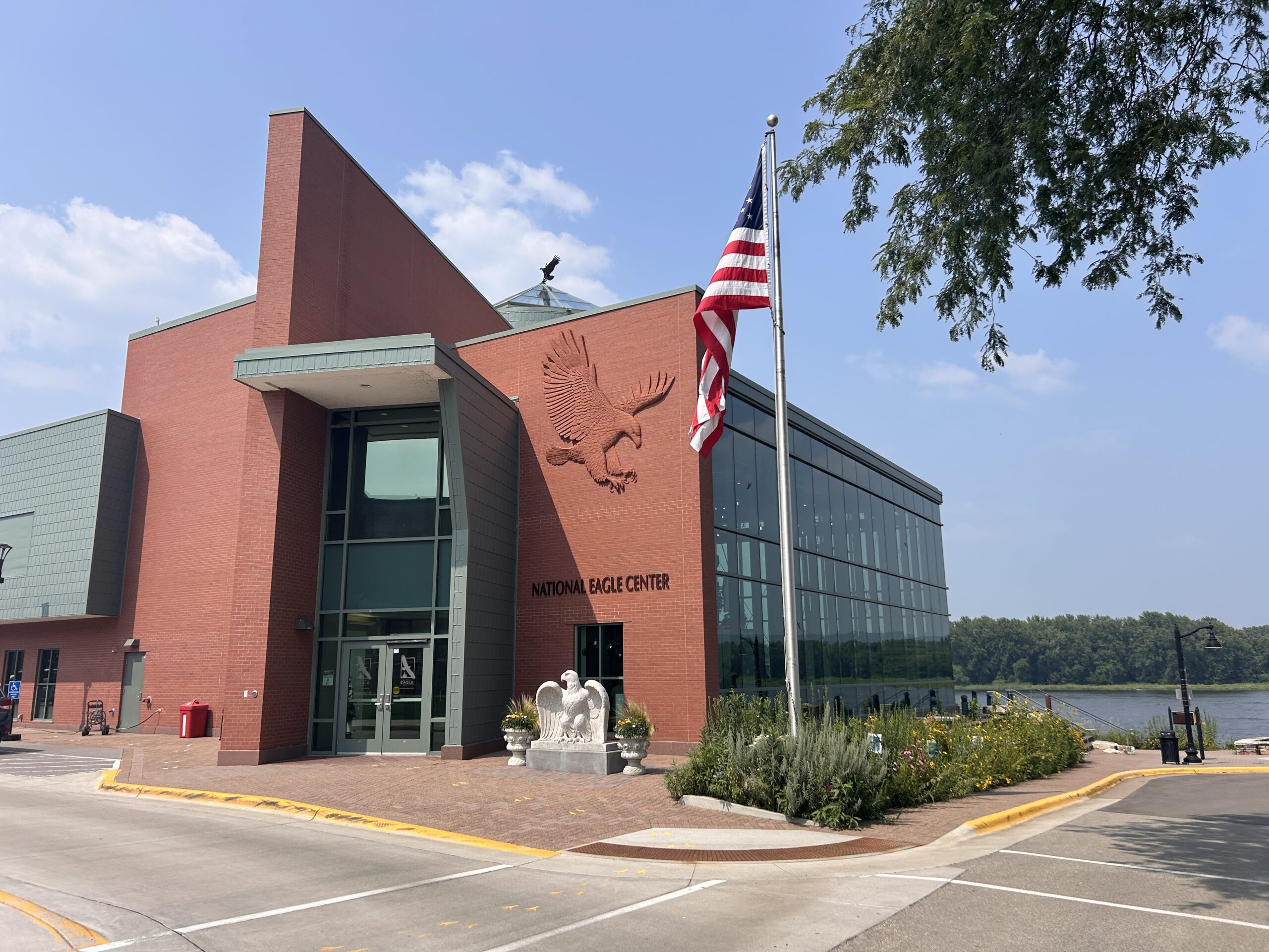 Soar into Family Fun at the National Eagle Center