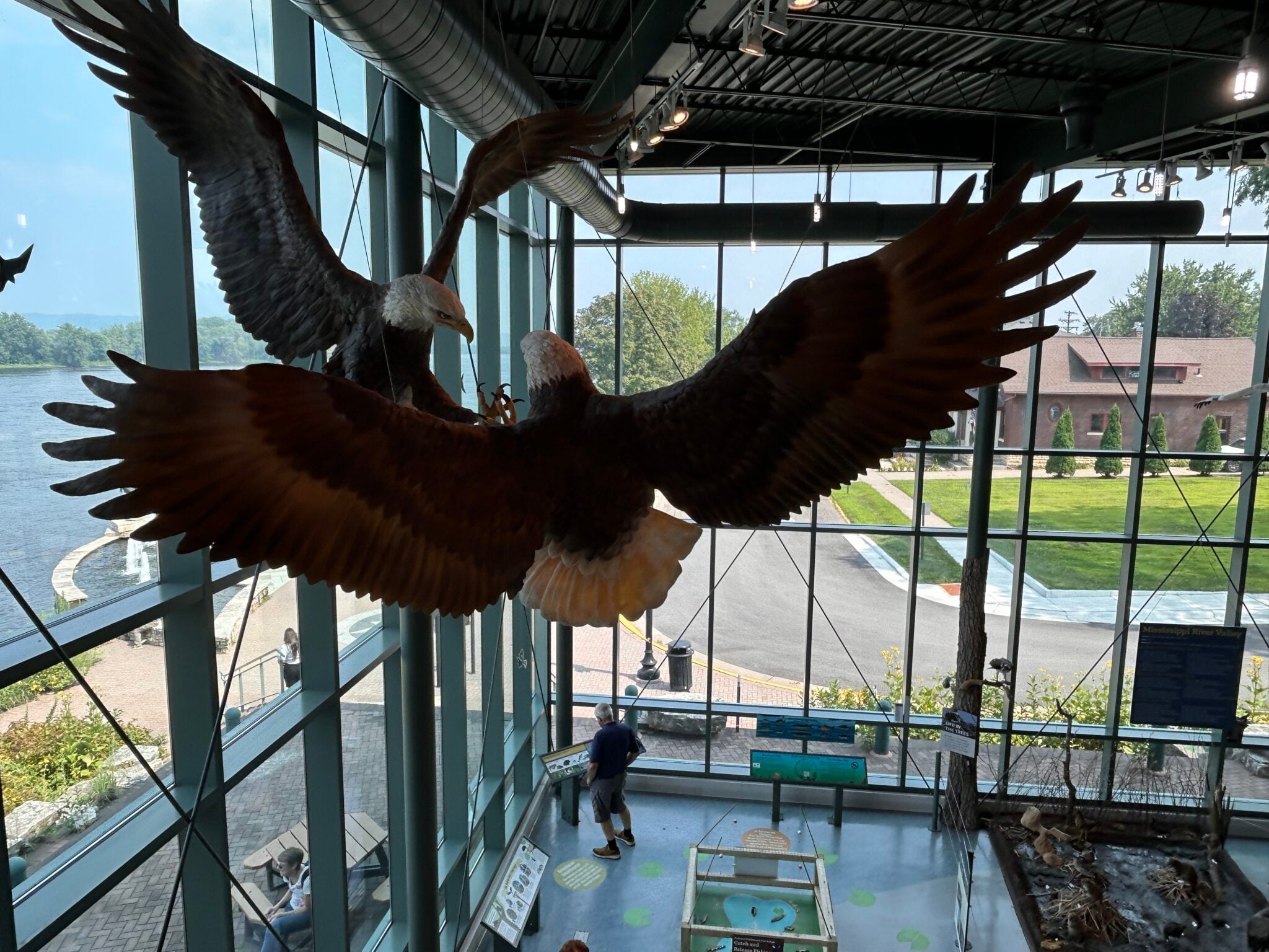 Soar into Family Fun at the National Eagle Center - Minnesota Parent