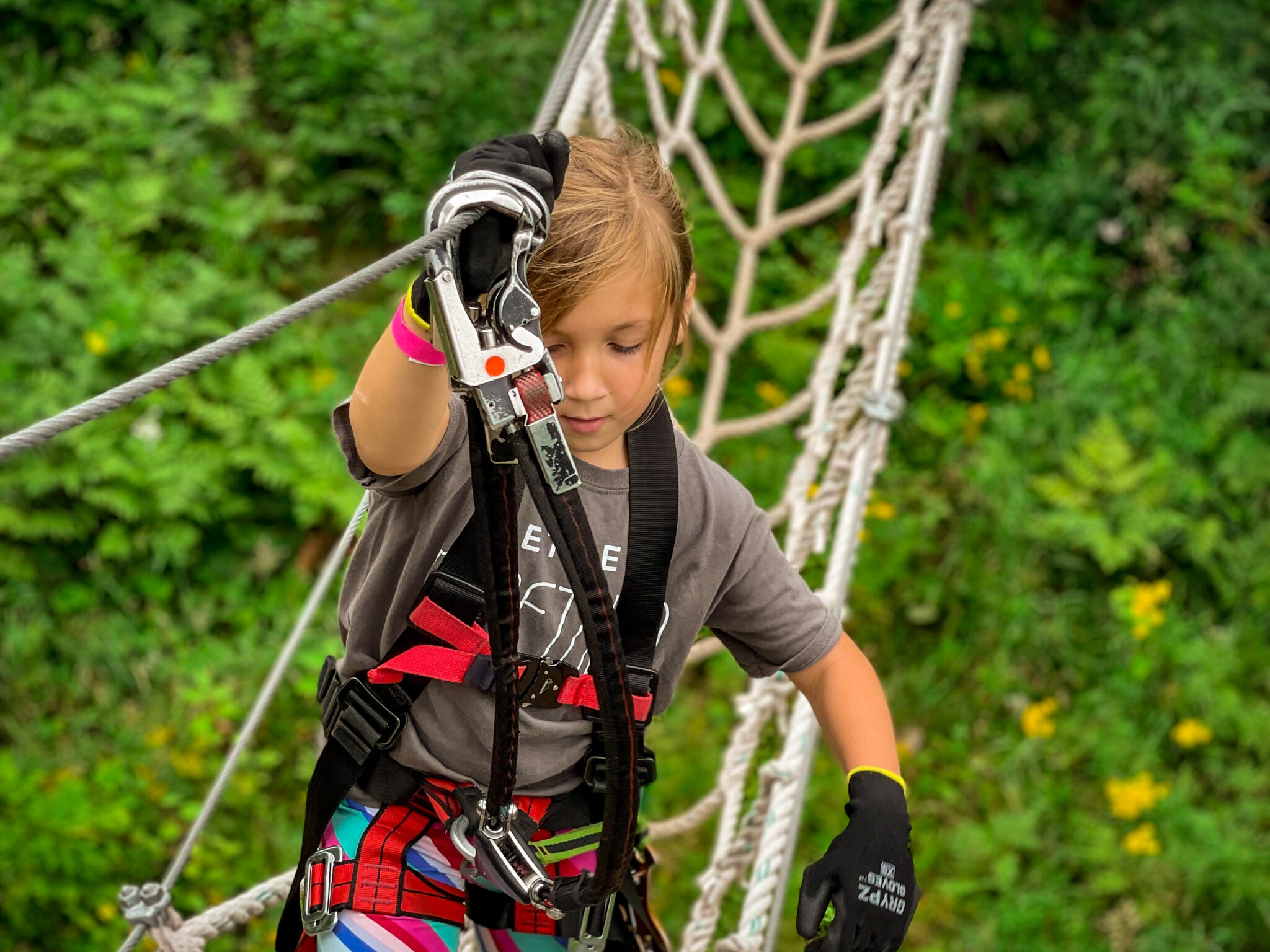 Fly High! The Best Ziplining Experiences Across Minnesota