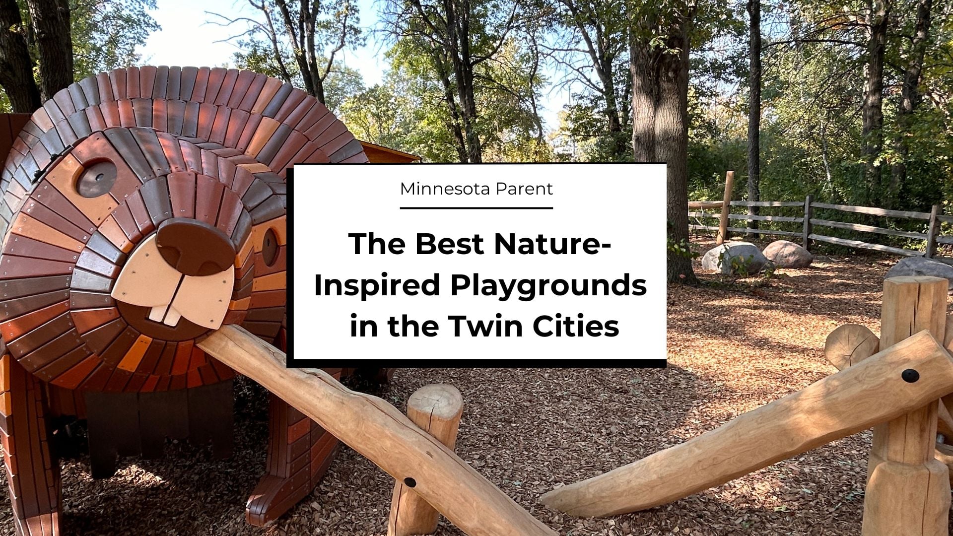 Epic Twin Cities Nature-Inspired Playgrounds You Will LOVE