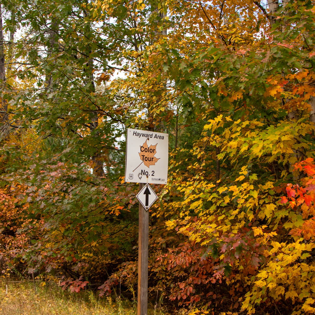 Experience the Colors of Fall on a Hayward Color Tour