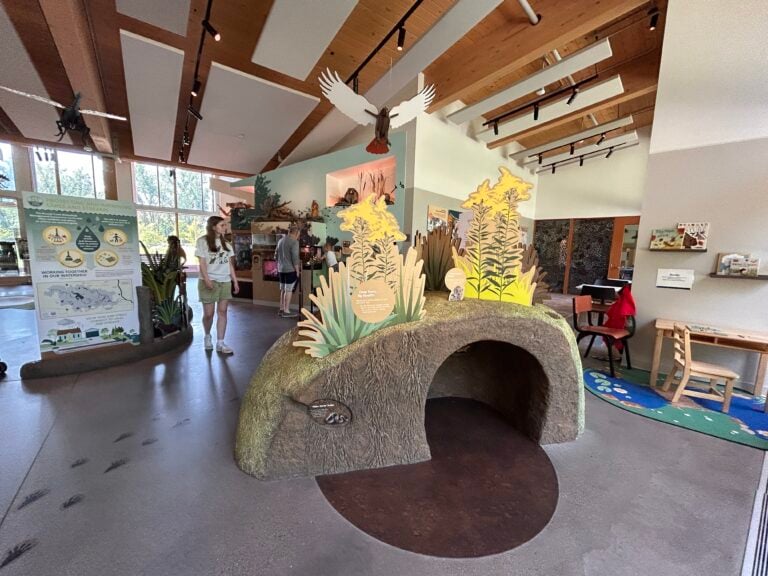 log and intrepretive center at the Westwood Hills Nature Center