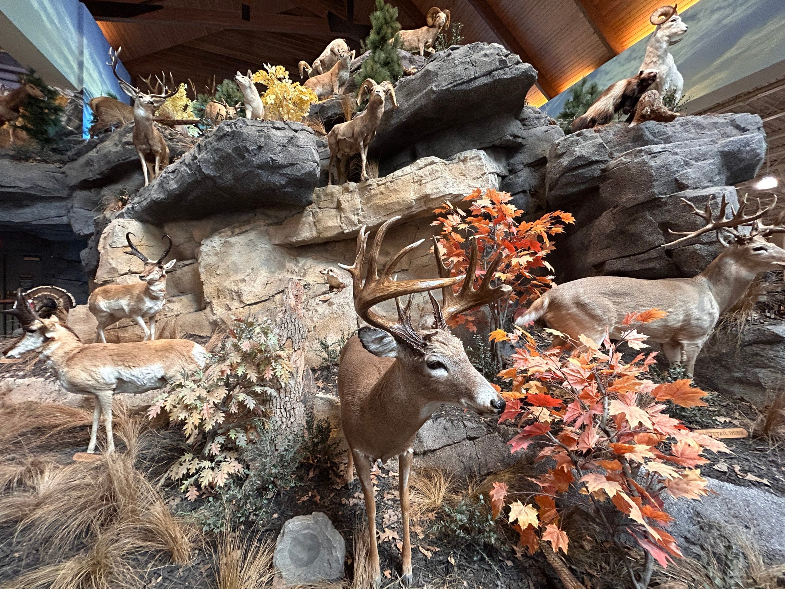 Cabela’s in Minnesota Is a Family Outing You’ll Want to Repeat