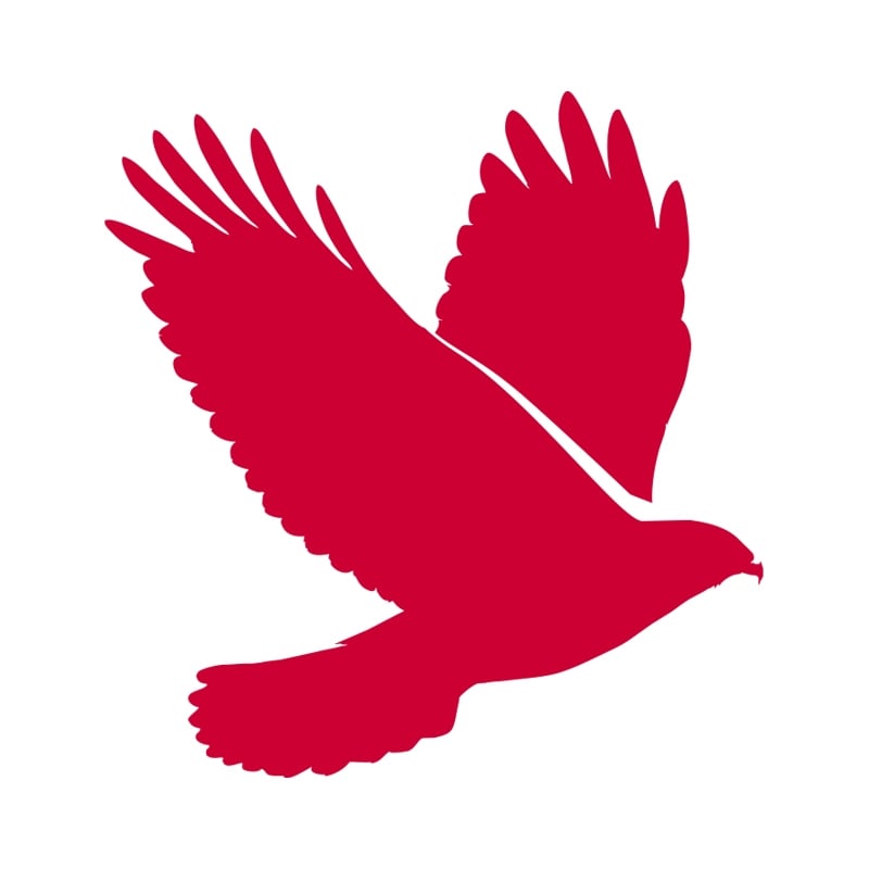 Falcon View Online