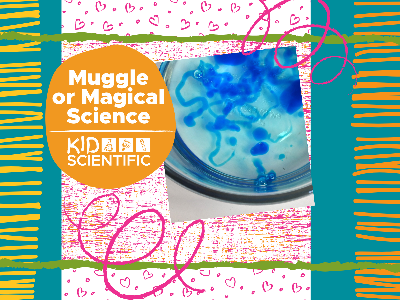 7768699d-0313-45f4-b220-2e6867b24b17_3343___KidScientific___Muggle_or_Magical_Science