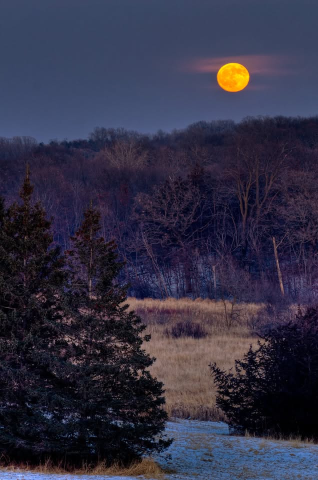 Full Sugar Maple Moon Hike