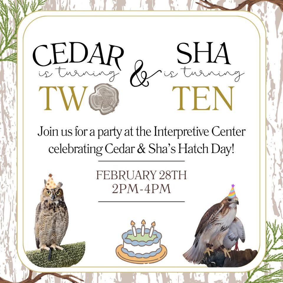Hatch Day Party