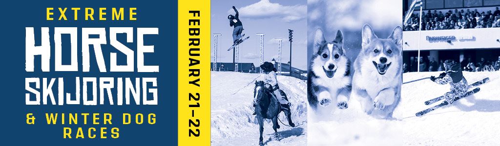 Skijoring_Header_1024x300_(2)
